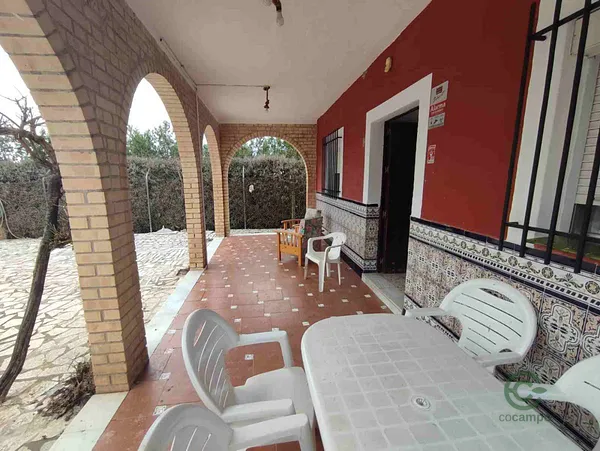 Spot image