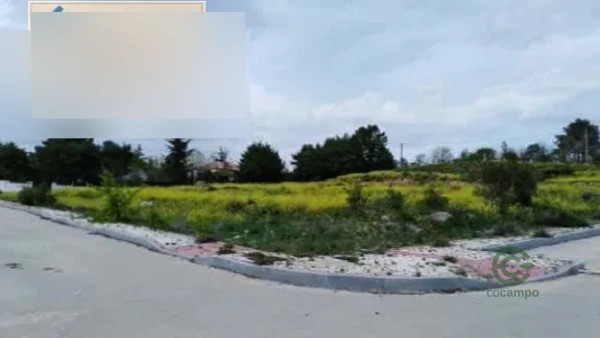 Spot image