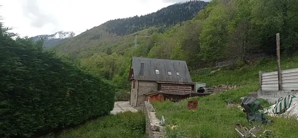 Spot image