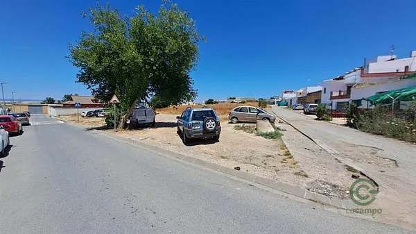 Spot image