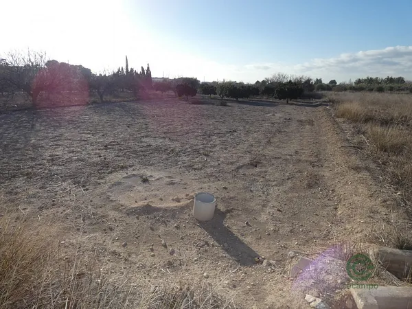 Spot image