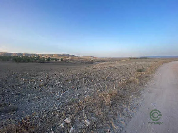 Finca rústica de 1,98 ha en venta en Driebes, Guadalajara