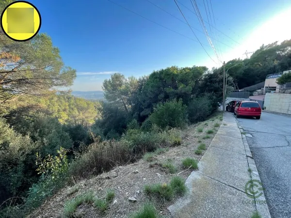 Spot image