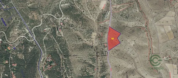 Spot image