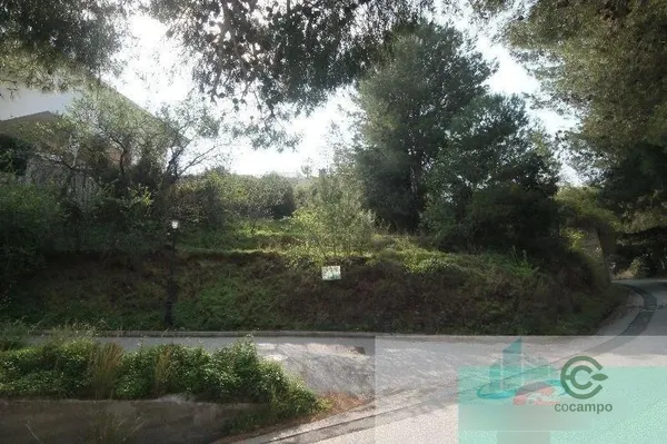 Spot image