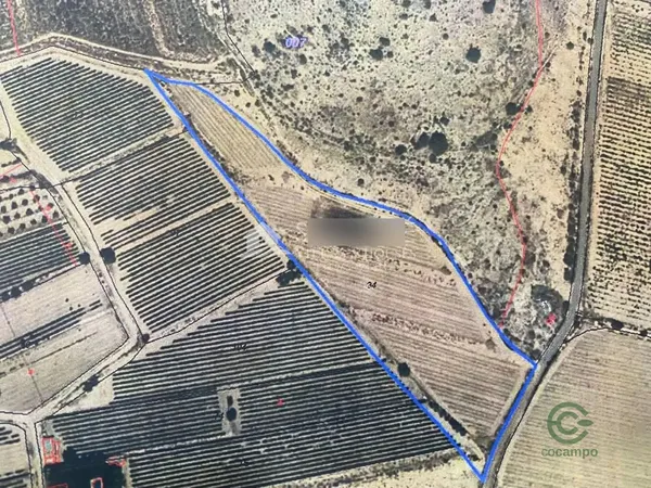 Finca agrícola de 1,1885 ha en venta en Novelda, Alicante