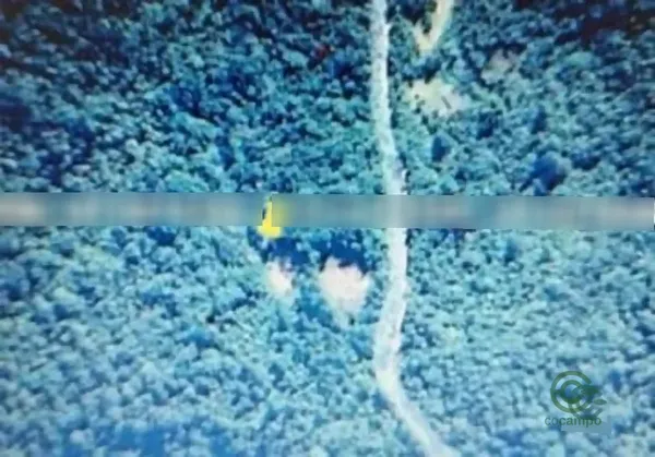 Spot image