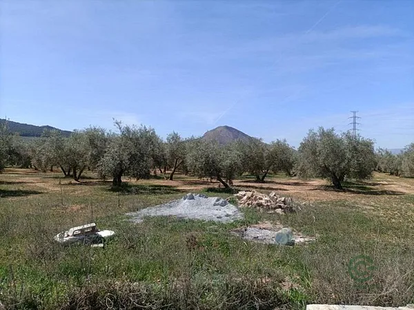 Finca agrícola de 0,4357 ha en venta en Albolote, Granada