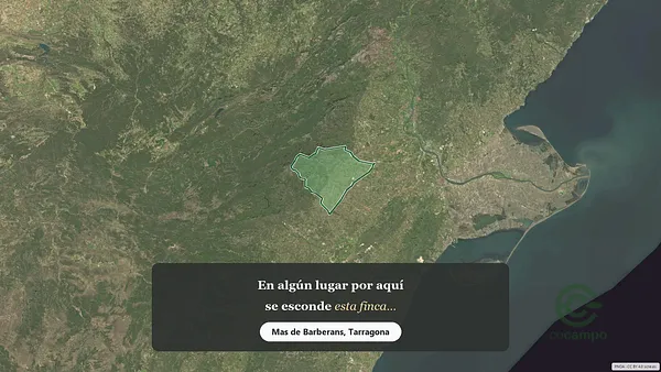 Spot image