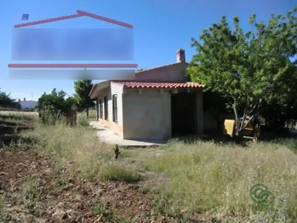 Spot image
