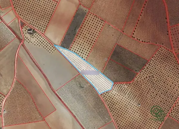 Finca agrícola de 1,49 ha en venta en Valdepenas, Ciudad real