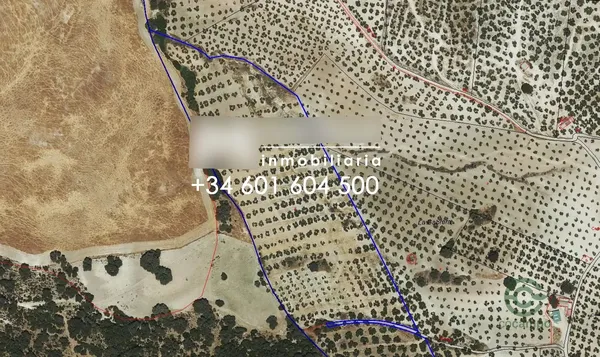 Spot image