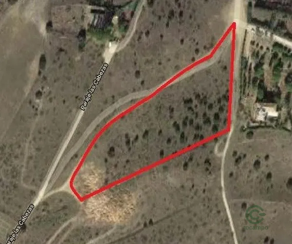 Spot image