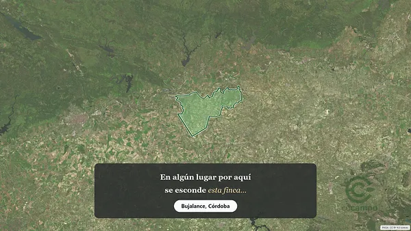 Spot image