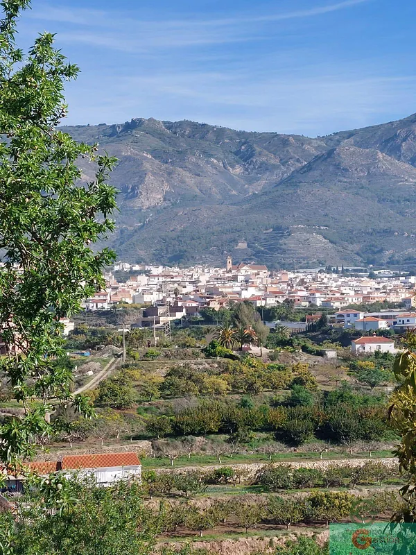 Spot image