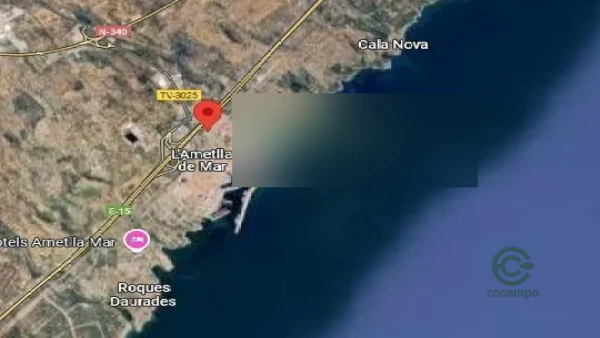 Spot image