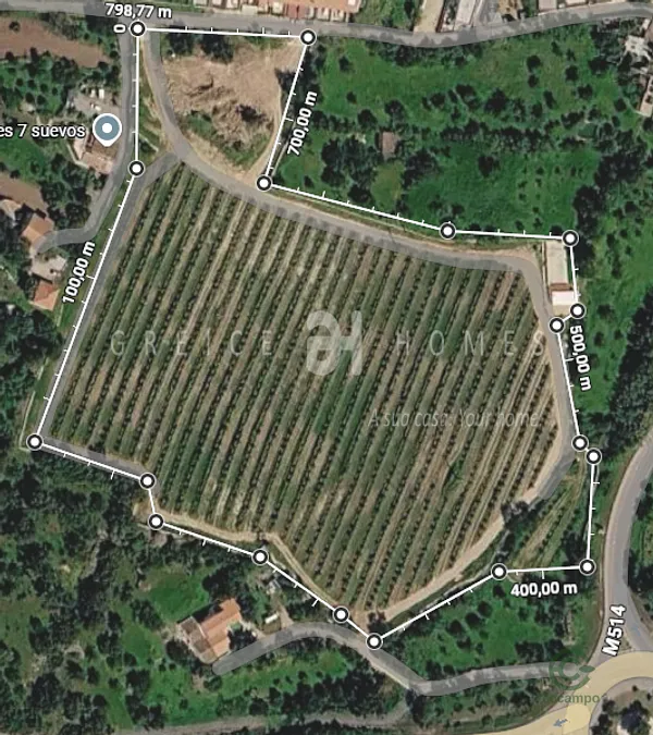 Spot image
