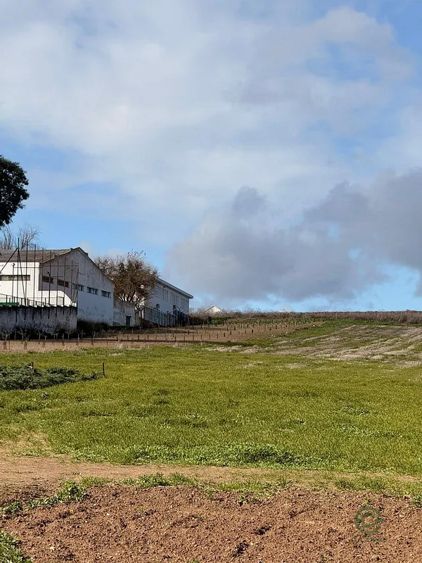Terreno urbano de 0,41 ha en venta en Trebujena, Cádiz