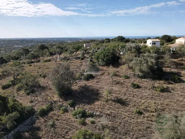 Spot image