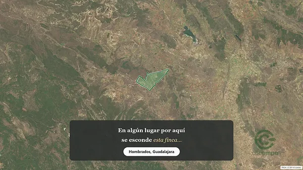 Spot image
