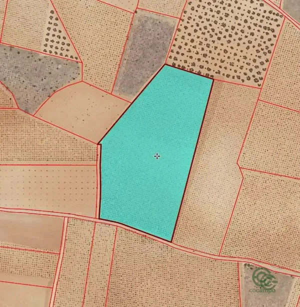 Spot image