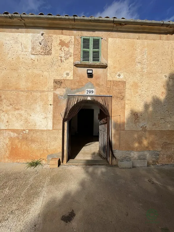 Spot image