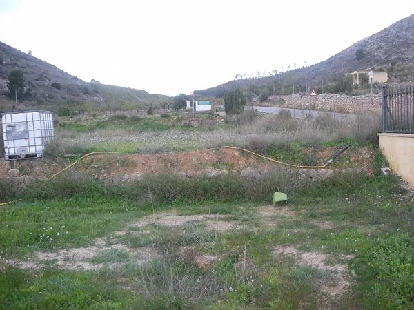 Spot image
