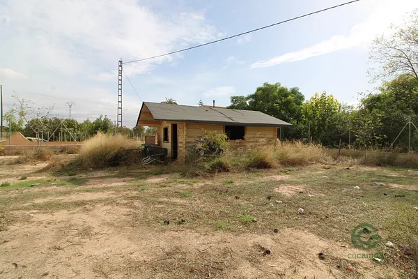 Spot image