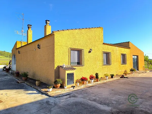 Finca rústica de 2,4 ha en venta en Yecla, Murcia