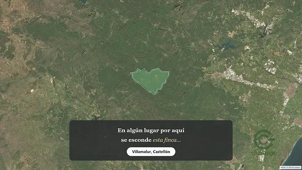 Spot image
