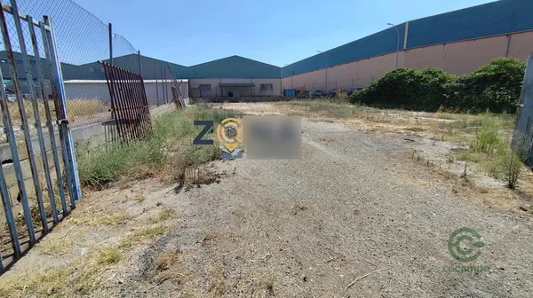 Spot image