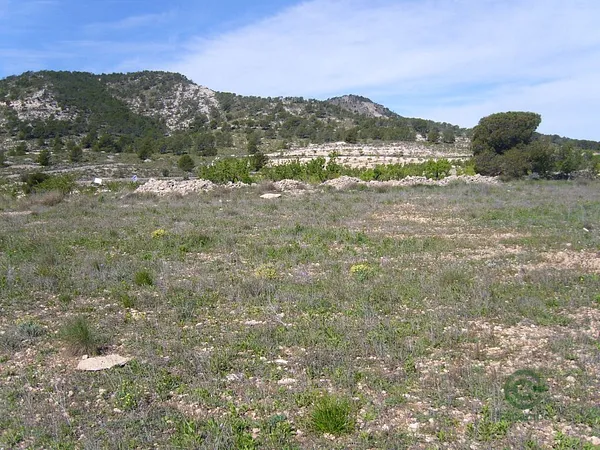 Spot image