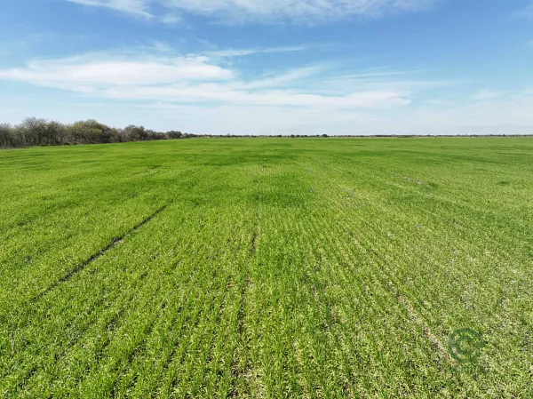 Finca agrícola de 927 ha en venta en Santa Fe