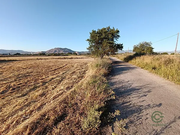 Spot image