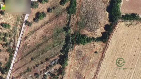 Spot image