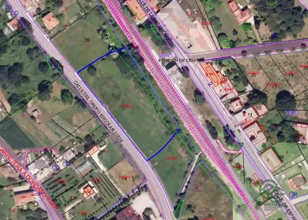 Spot image
