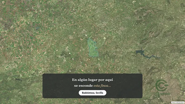 Spot image