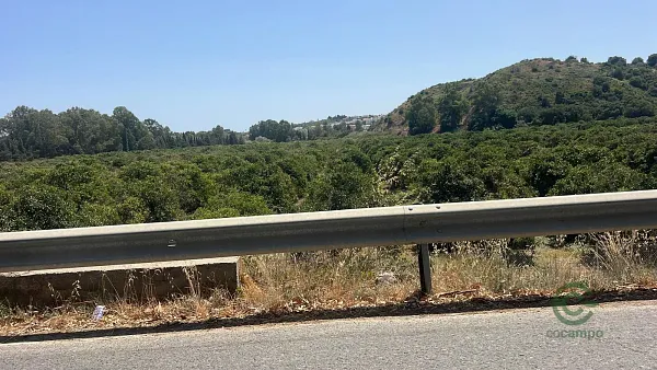 Spot image