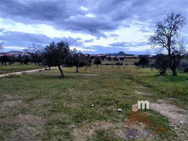 Spot image