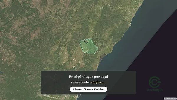 Spot image