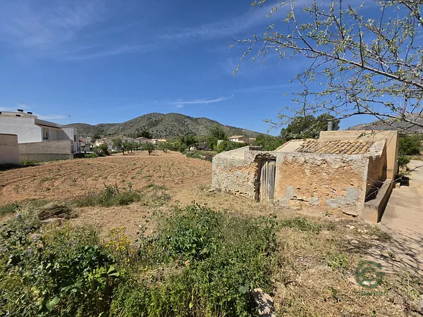 Spot image