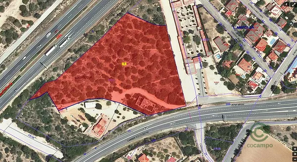 Spot image