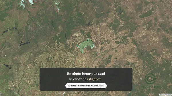 Spot image
