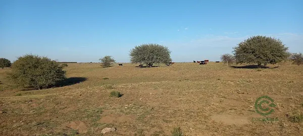 Finca rústica de 2500 ha en venta en Buenos aires