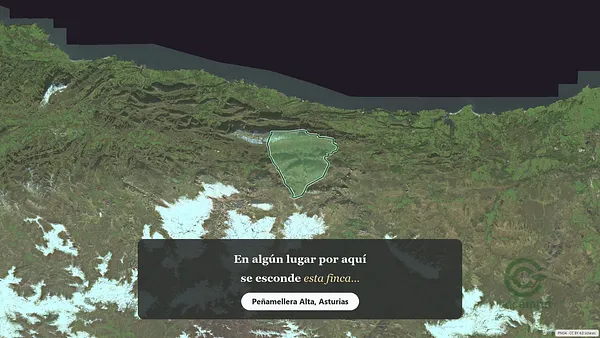 Spot image