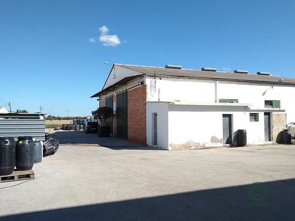 Spot image