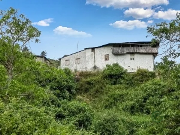 Spot image