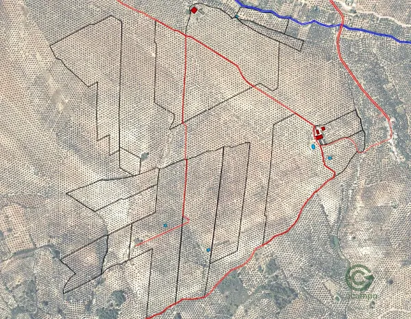 Spot image