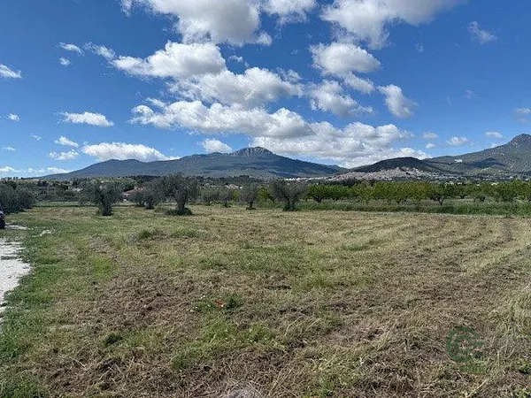 Spot image