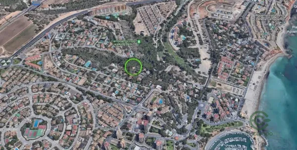 Spot image